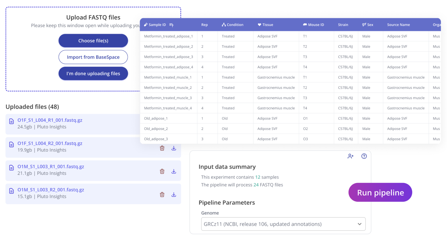 Pluto security and permissions graphic